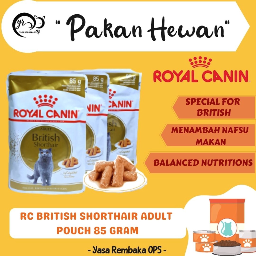 ROYAL CANIN BRITISH SHORTHAIR 85gr - Wet Cat Food Makanan Kucing British