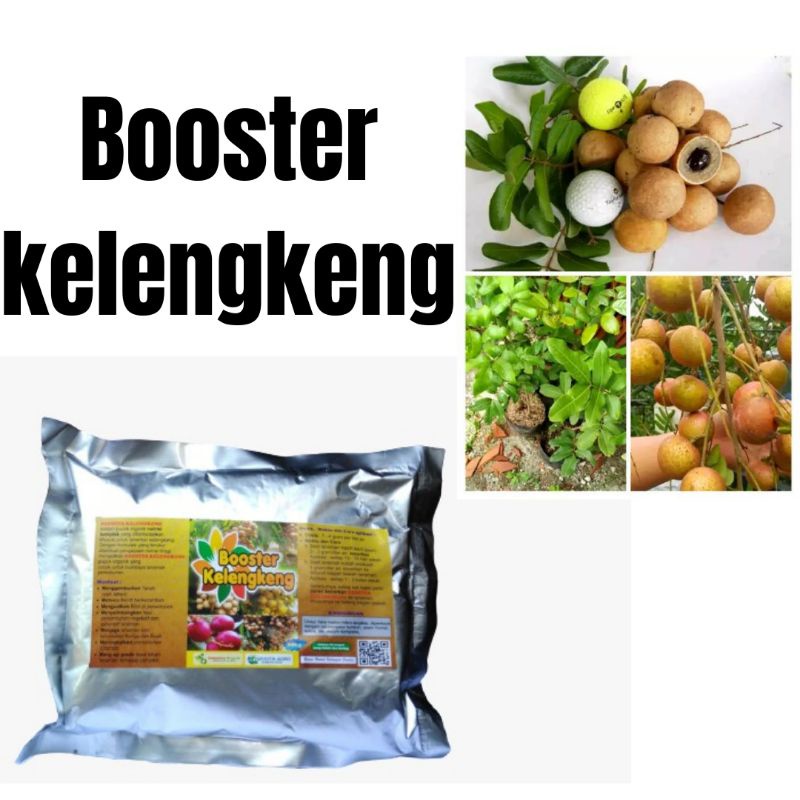 Booster Pohon Kelengkeng, Pupuk Booster Kelengkeng