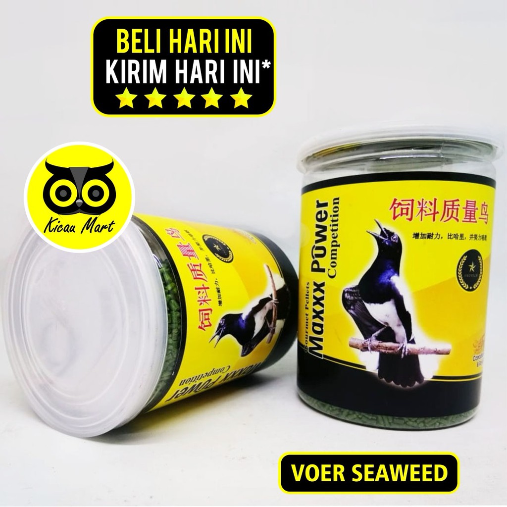 PAKAN MAXXX POWER COMPETITION KUNING VOER SEAWEED RUMPUT LAUT MAKANAN BURUNG MURAI KACER ANIS MAXSWK