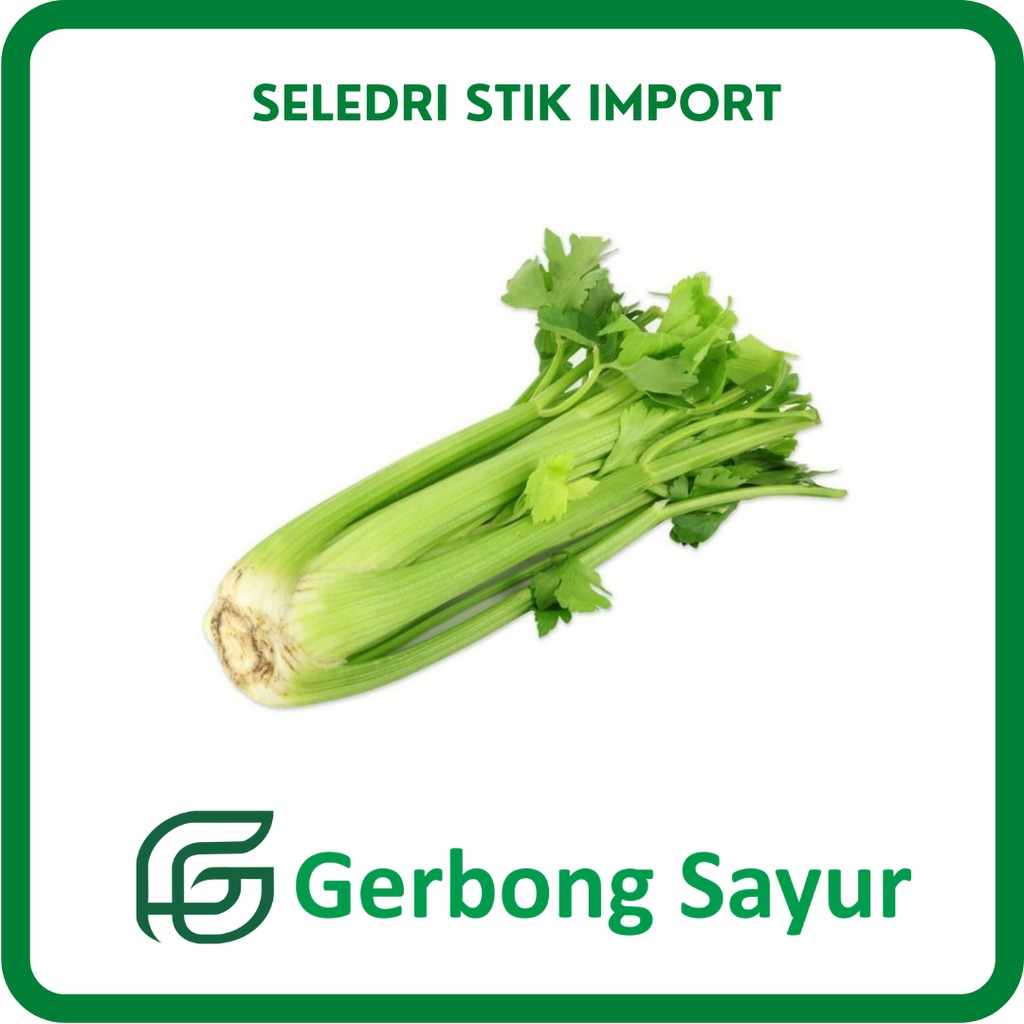 

Sayur Seledri Stik import / Seledri Stick Import Segar per Pcs (700-800 gr)