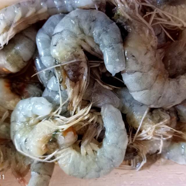 

Udang Segar 250gram