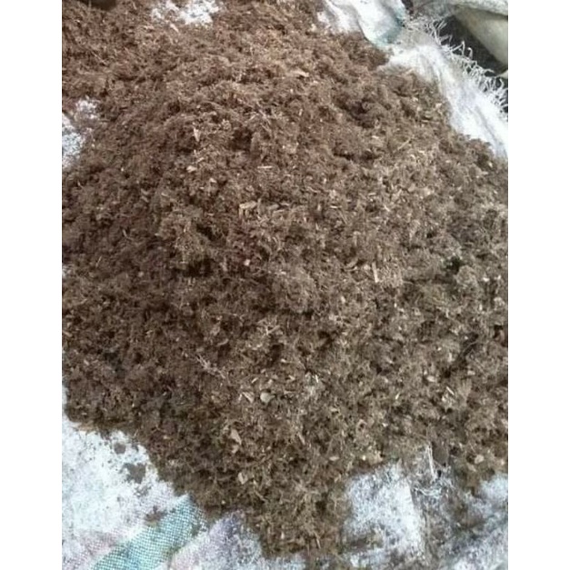 humus akar bambu 1kg