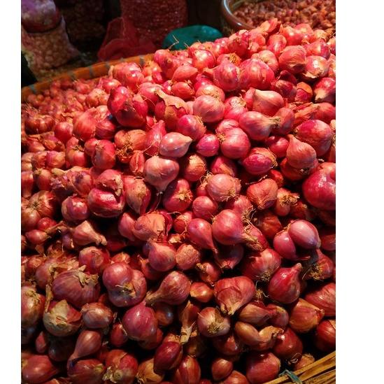 

Dijual Murah HYIHV Bawang Merah Kering 1kg Murah 72 Terkini