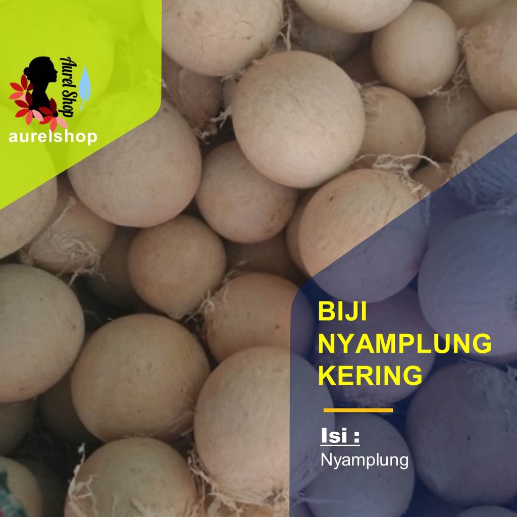 

Biji Nyamplung Kering 1 kg