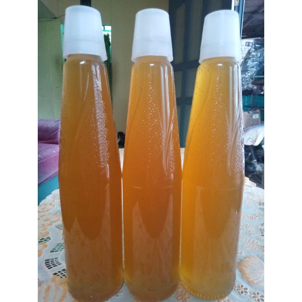 

madu hutan kalimantan