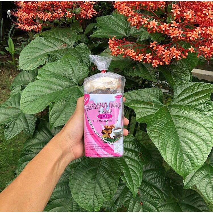 

wedang uwuh murah + susu + gula batu