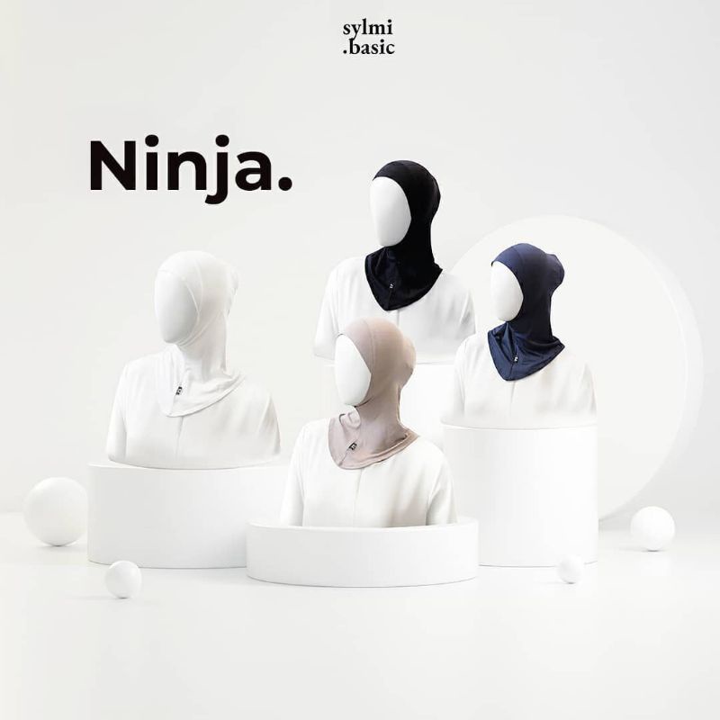 sylmi.basic / dalaman / ninja
