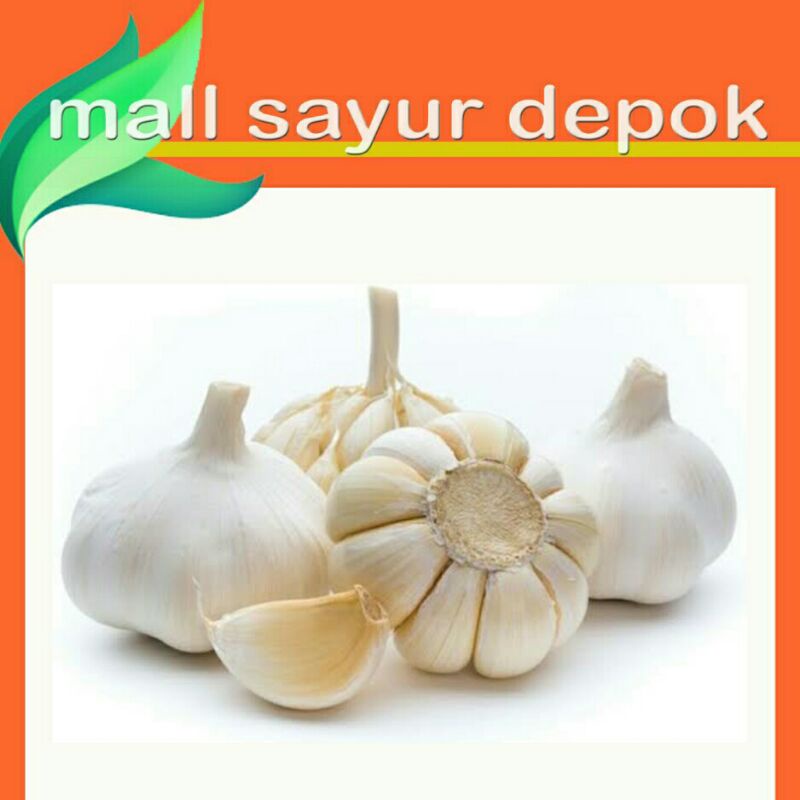 

Bawang putih