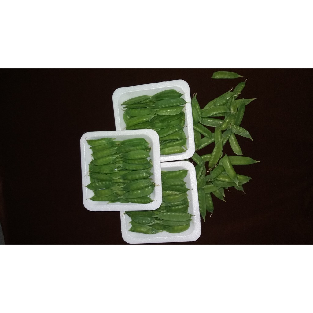 

Kapri 100gr/pack