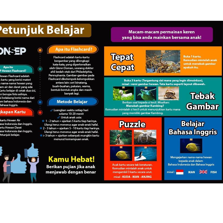 Tidak Diragukan Flashcard Hewan Air Dan Darat Konsep