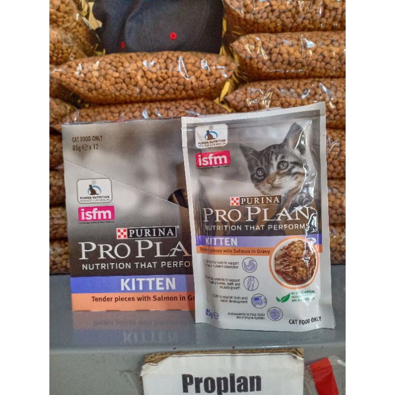 Proplan pro plan makanan basah kucing kitten salmon gravy pouch sachet 85gr