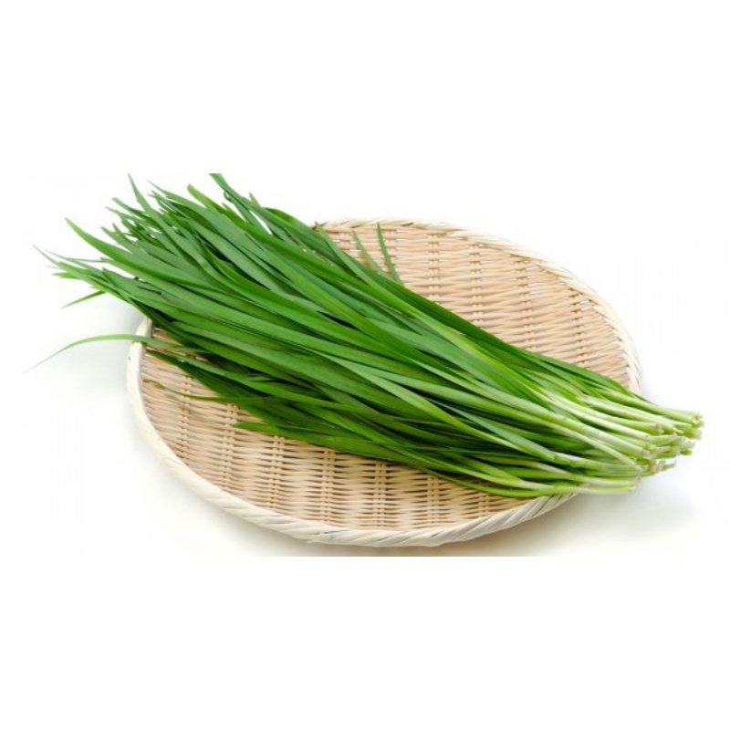 

Daun Kucai - Per ikat kecil