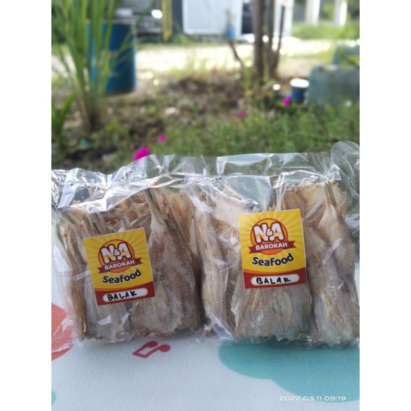 ikan kering tipis Jambrong/ balak / bloso ( tawar )