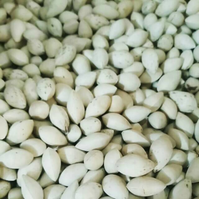 GINKO NUT / PEKKO / PEKKOI 250 gr