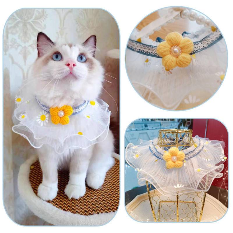 Bib Leher Anjing / Kucing Peliharaan Bahan lace Motif Bunga Aster Untuk Properti Foto