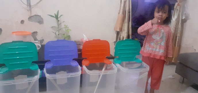 Aquarium Es Buah / Toples Es Buah Abella  Plus Gayung 30 Lt