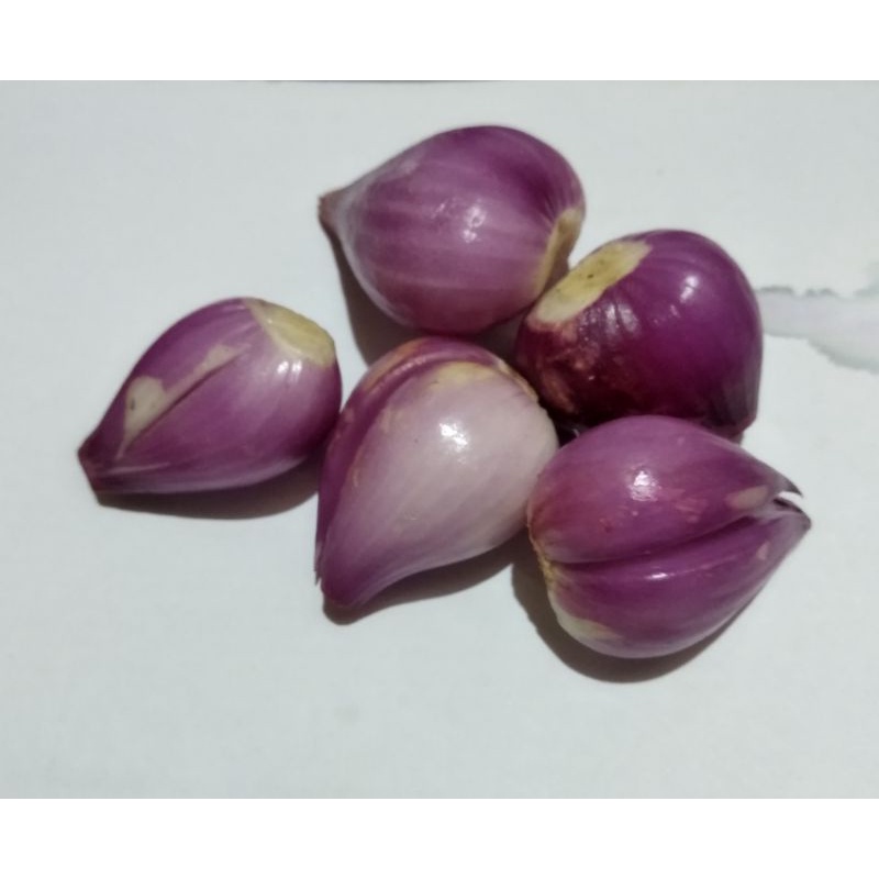 

BAWANG MERAH BREBES KUPAS 1000g