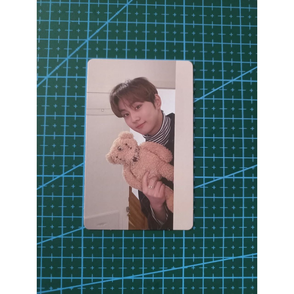 PC JUNGWON BONEKA ENHYPEN BDC HYPE CONCEPT