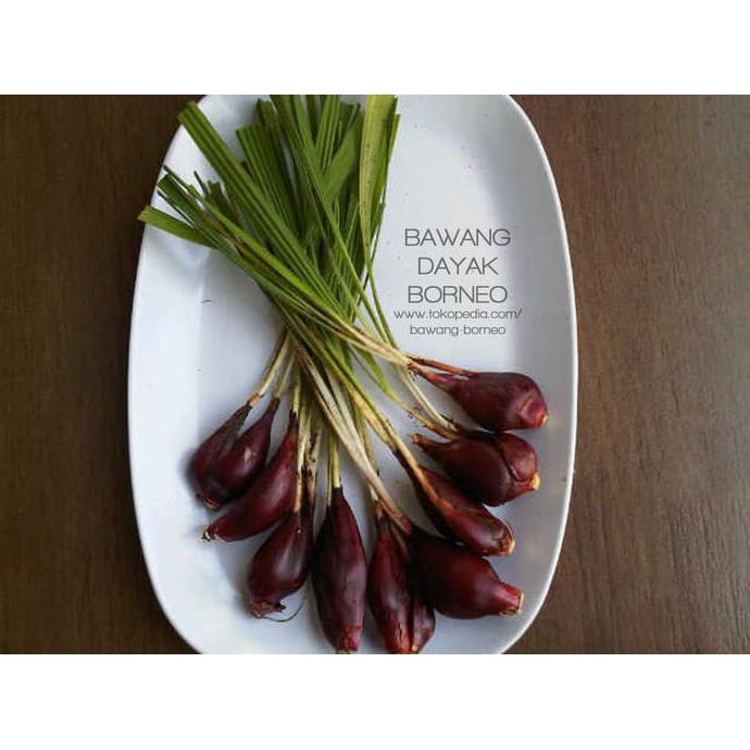 

(BAYAR DITEMPAT) BAWANG DAYAK/BAWANG BERLIAN/BAWANG SABRANG/BAWANG ARAB/BAWANG TIWAI P2792