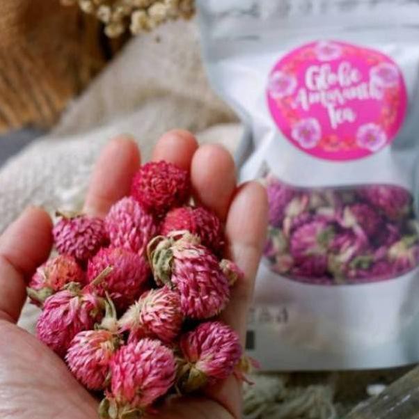 

Bestseller EDFH9 Globe Amaranth Tea sachet 10gr 79 Ready
