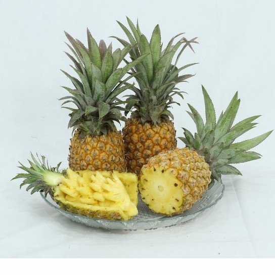 

NANAS KEDIRI SEGAR / NANAS FRESH PER KEPALA