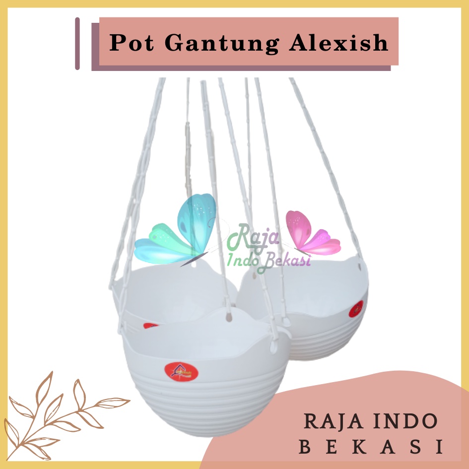 Pot Bunga Gantung Alexish 20 Putih Mirip Pot Gantung Gentong Lovenia Pot Gantung Putih Anggrek Tinggi Lion star