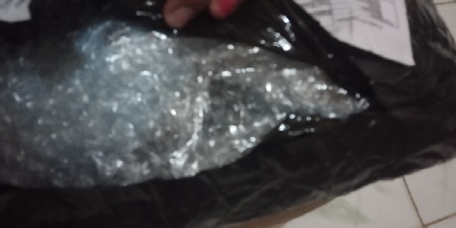 Elber Tempat Sikat Pasta Gigi Lady Bug Toothpaste Brush Organizer