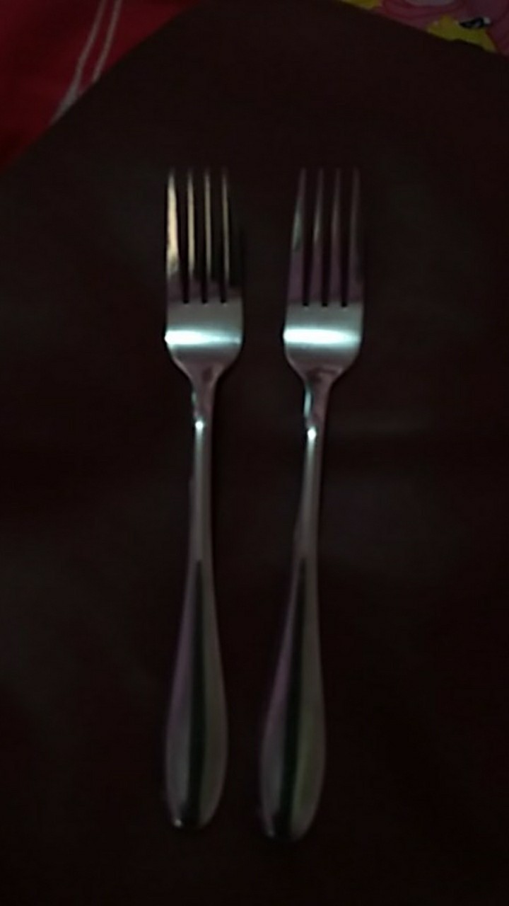 Garpu Stainless Steel Tebal / Garpu Makan / Garpu Steak Stainless Steel