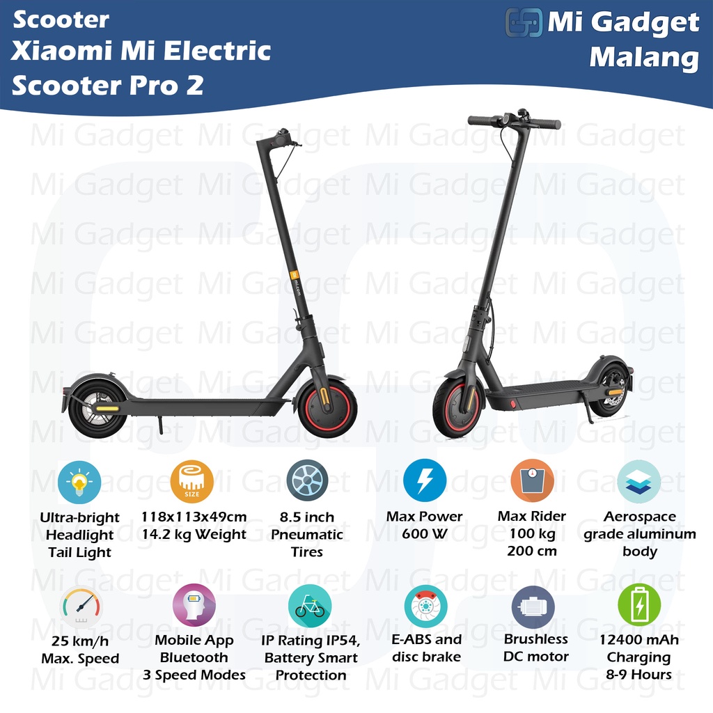 Electric Scooter Pro 2