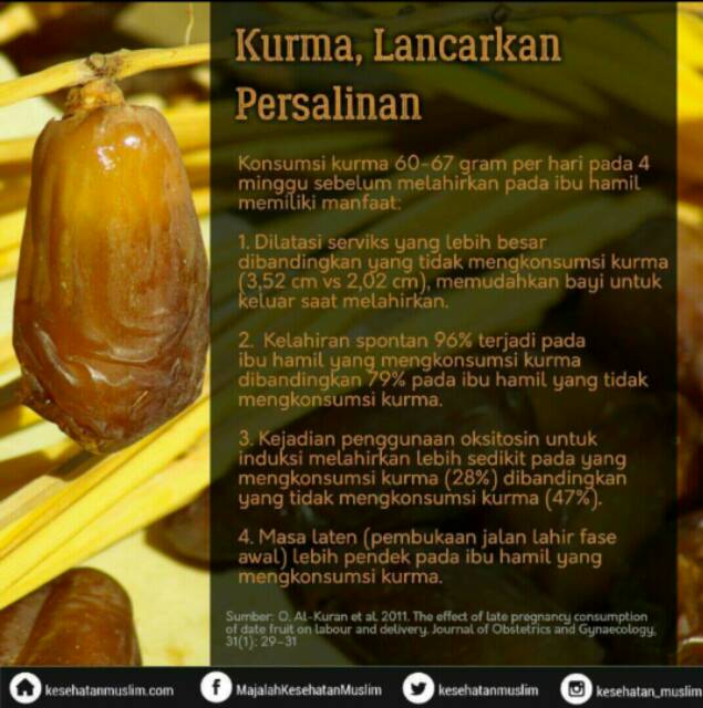 Rutob Kuning Kurma Muda Segar Fresh Support Promil Busui Bumil Yellow Ruthob Indonesia