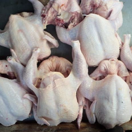 

Ayam Broiler Fresh 1 Kilogram