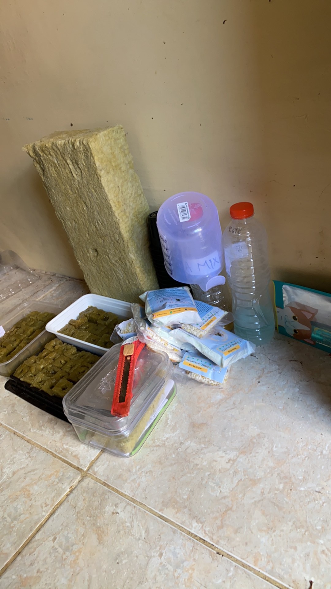 Benih Bibit Biji Semangka Merah Fifa F1 Kemasan Alumunium Foil