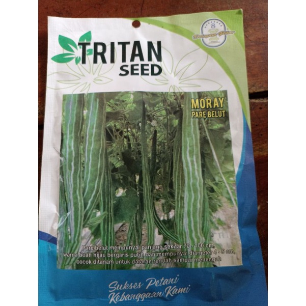 

pare belut moray 10gr