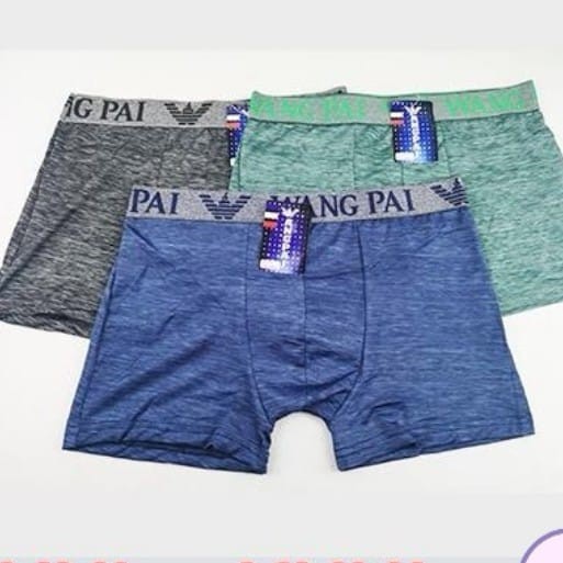 Celana Dalam / CD Under Pants Boxer Remaja - Import Seri 911 Wang Pai