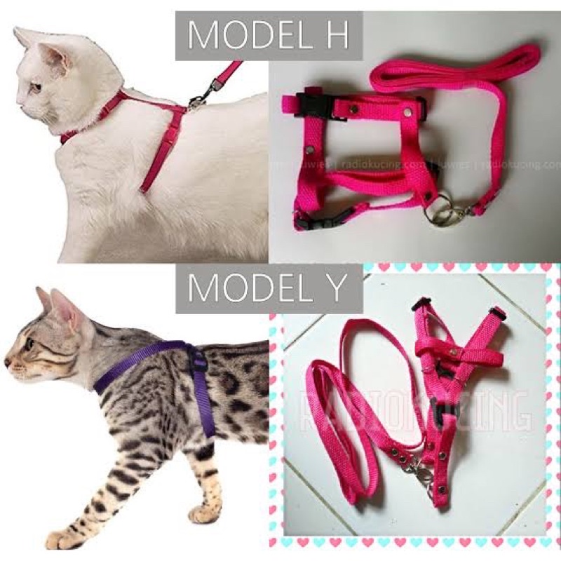 Tali Harness Y Polos