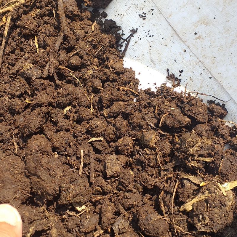 Pupuk Kandang Kotoran Kambing