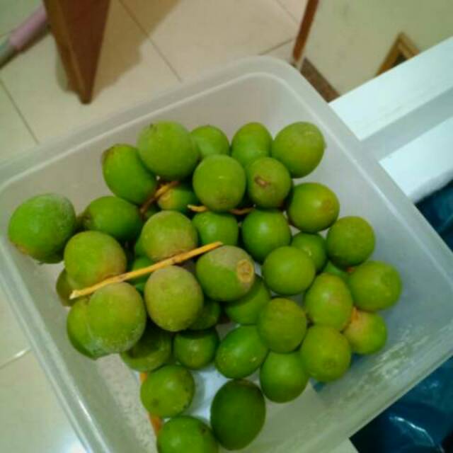 Kurma Muda Hijau Lonjong 500gr - khusus pengiriman dengan ojek online