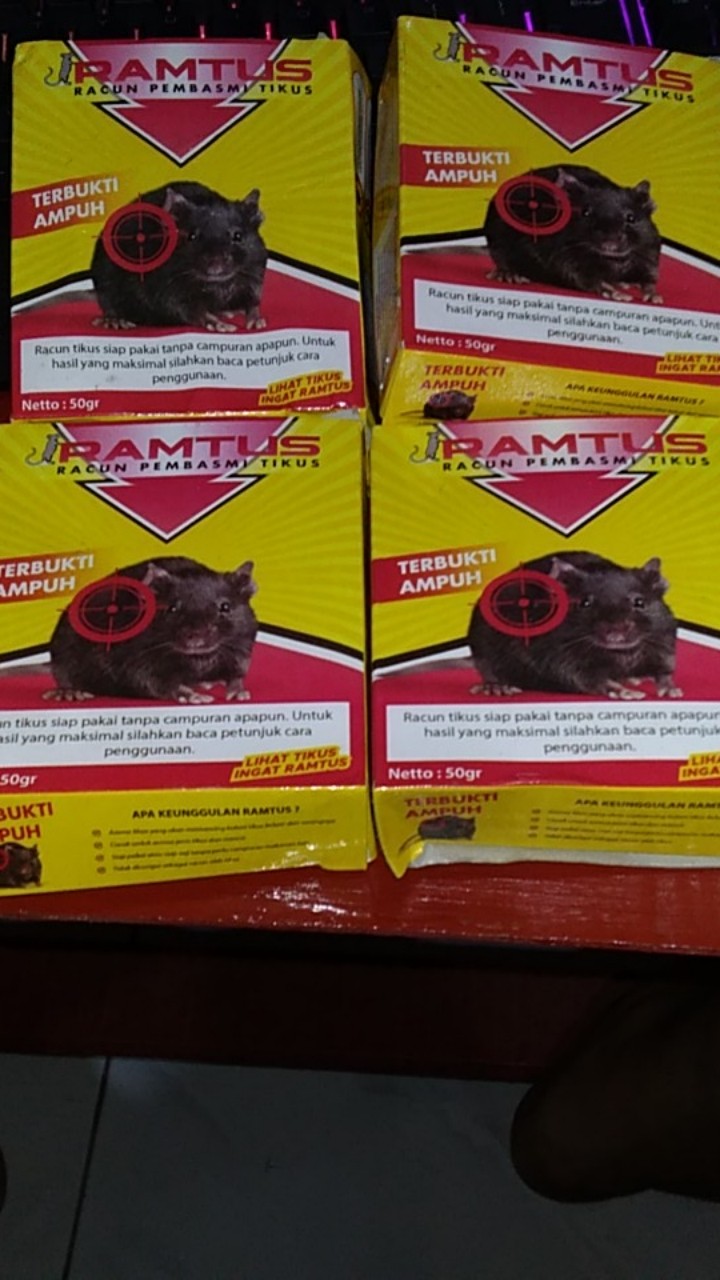 Ramtus Racun Tikus Ampuh Mati Kering Tidak Bau Pembasmi Curut Wirog Mencit Dirumah Di Mobil 4 Pack