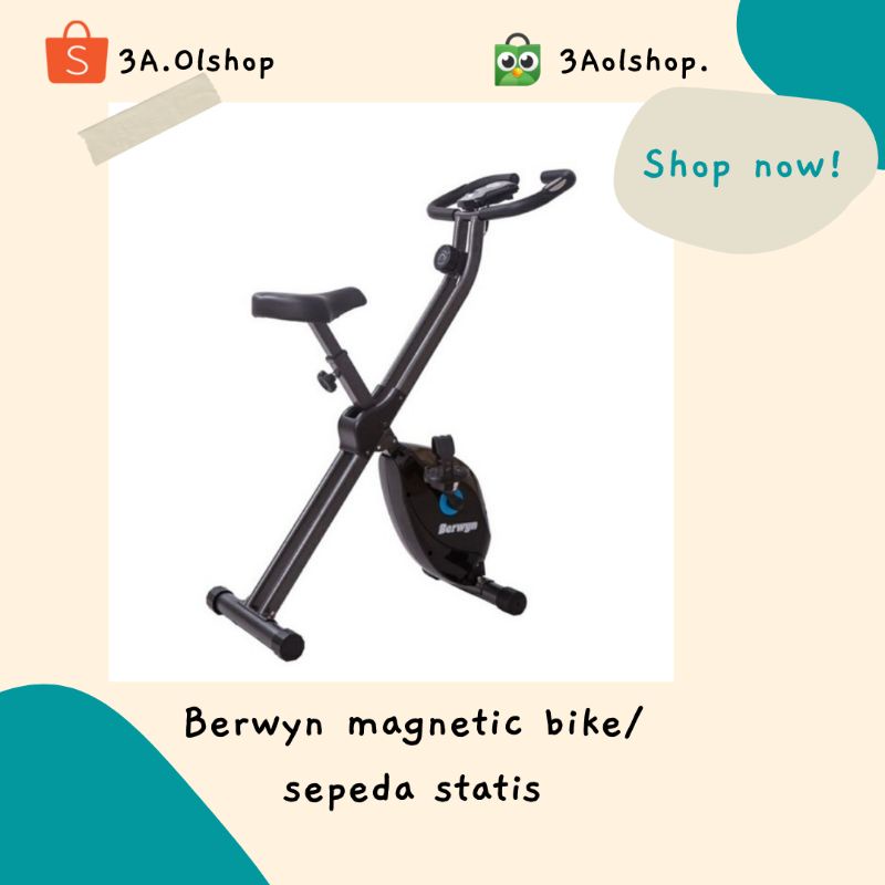 Berwyn magnetic bike/sepeda statis