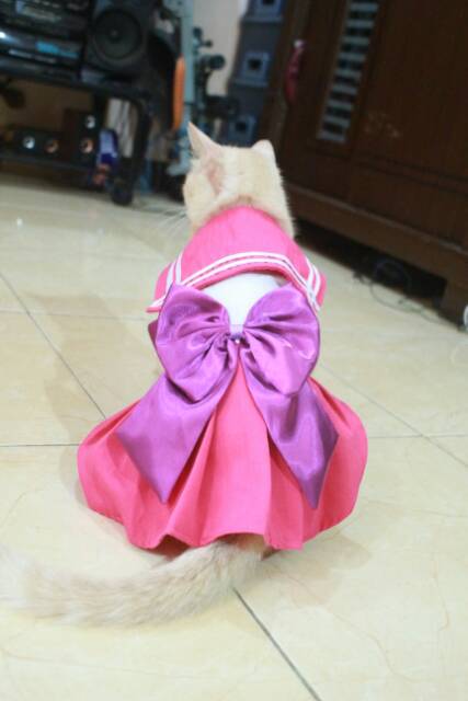 Dress Sailormoon chibi usa Dress cosplay kucing sailormoon mini moon size S M L XL