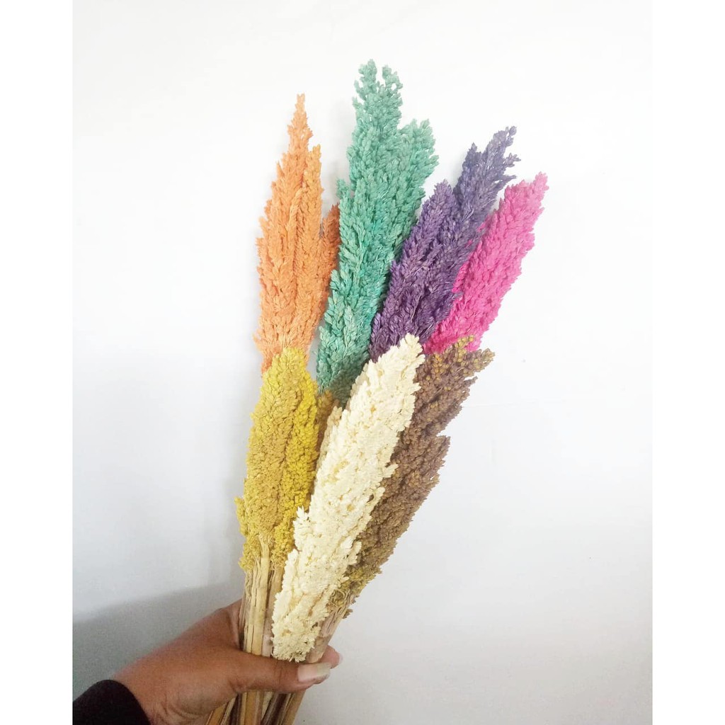Bunga Kering Cantel / Sorgum Rustic Dried Flower