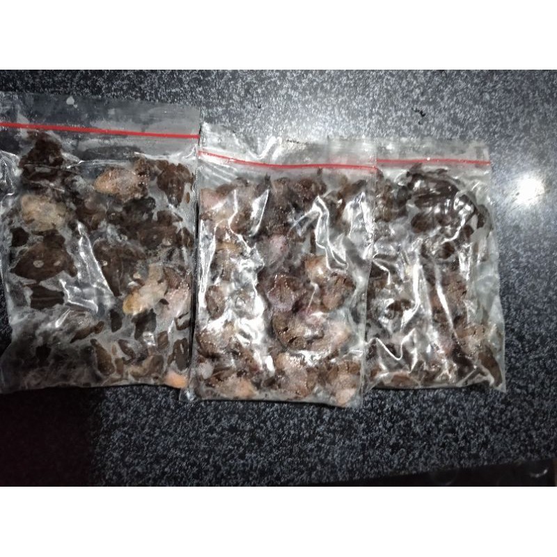 Kodok beku pakan arwana/pakan arwana