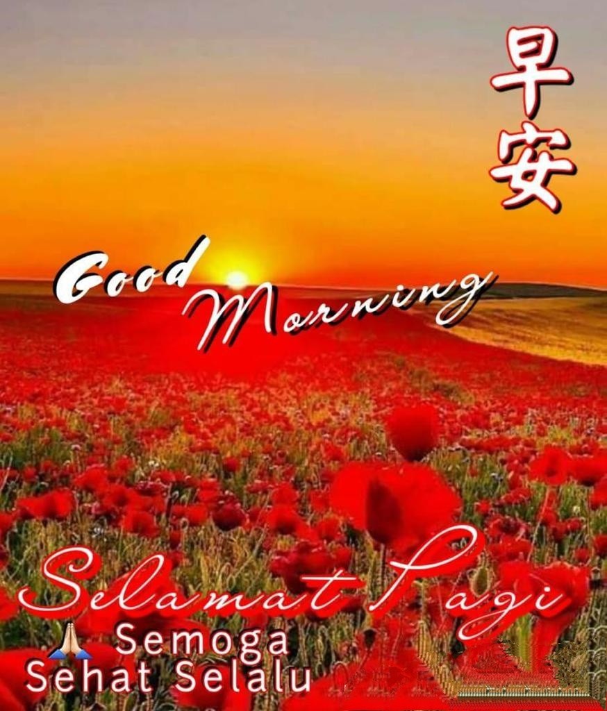 Sapu Hana Jeruk/orange Broom