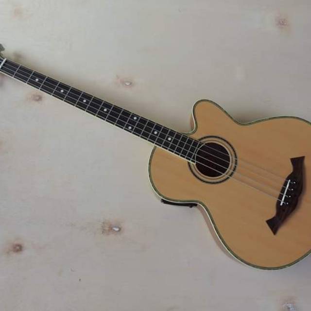 BASS AKUSTIK ELEKTRIK GIBSON TUNER