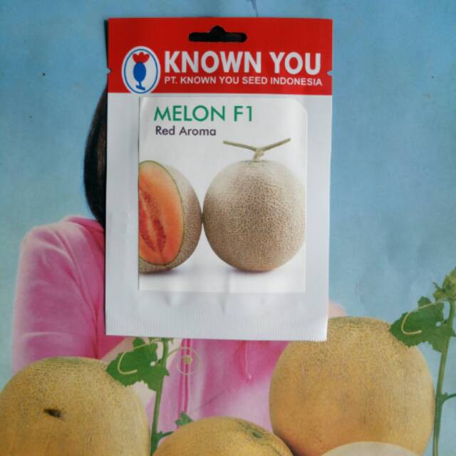 

Melon Daging Orange RED AROMA Kemasan Pabrik