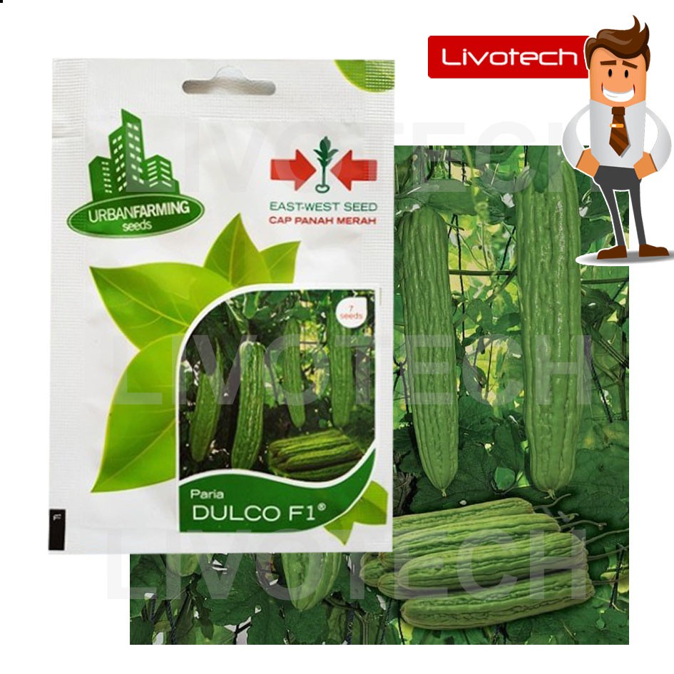 Panah Merah Benih Paria Dulco F1 Cap Panah Merah Pare Urban Farming Seed Original Starter Pack