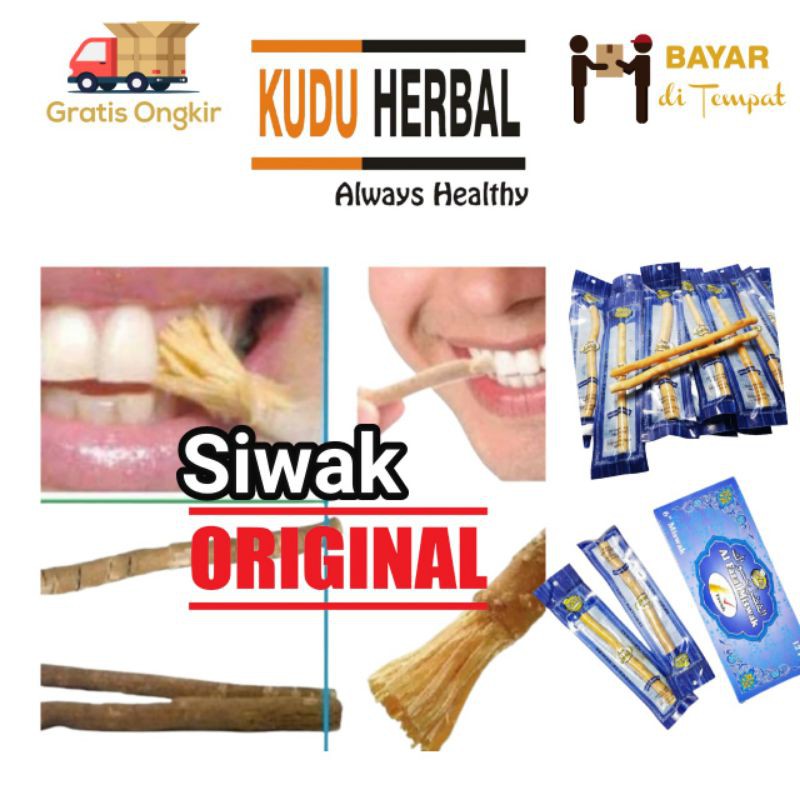 Siwak Asli I Siwak I Kayu Siwak I Siwak Kecil I Siwak Al Fazal I Miswak I Siwak Arab