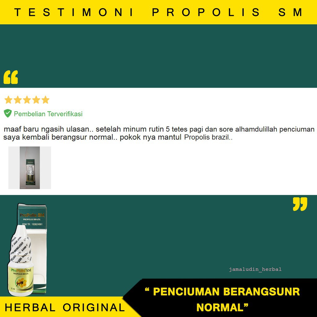 Obat Polip Hidung Tersumbat Mampet Bau Busuk Herbal Untuk Anak dan Dewasa Propolis SM Original Bpom