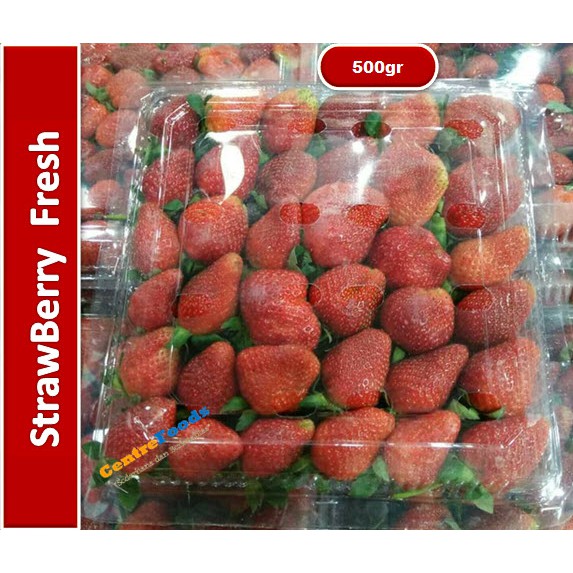 

Buah Strawberry Lokal - West Java | 500gr [ Harga Per 0,5 Kg ]