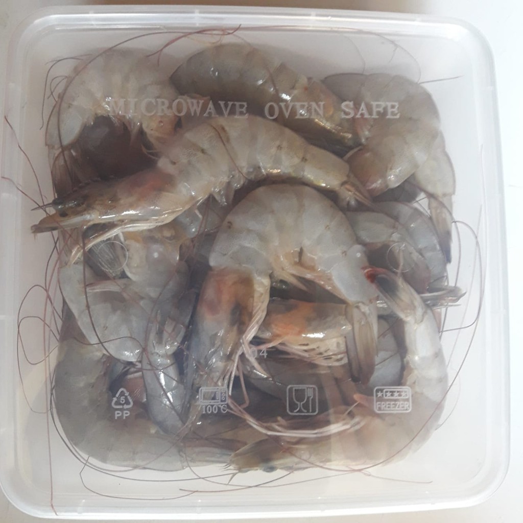 Udang Vaname Segar Size Besar Segar Kiloan / Udang Vanami